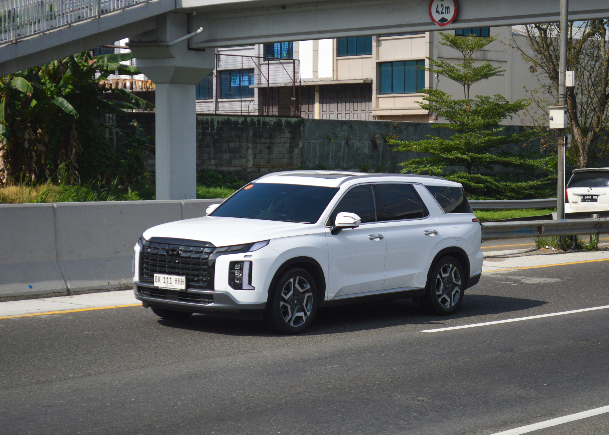 Hyundai Palisade White