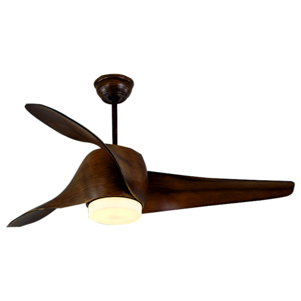 Elevate Your Space with Stylish Ceiling Fans and Decorative Lights