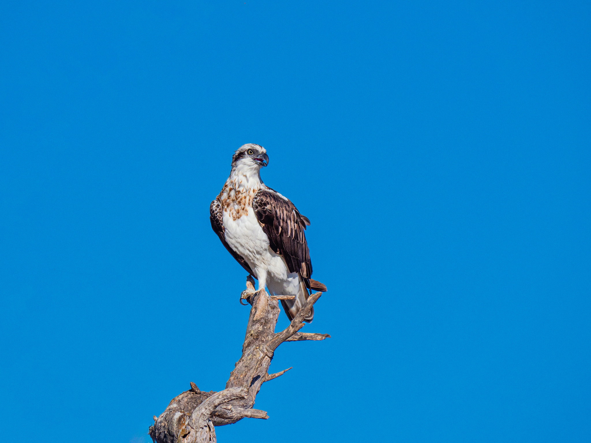 Yoondoordo by Paul Amyes on 500px.com