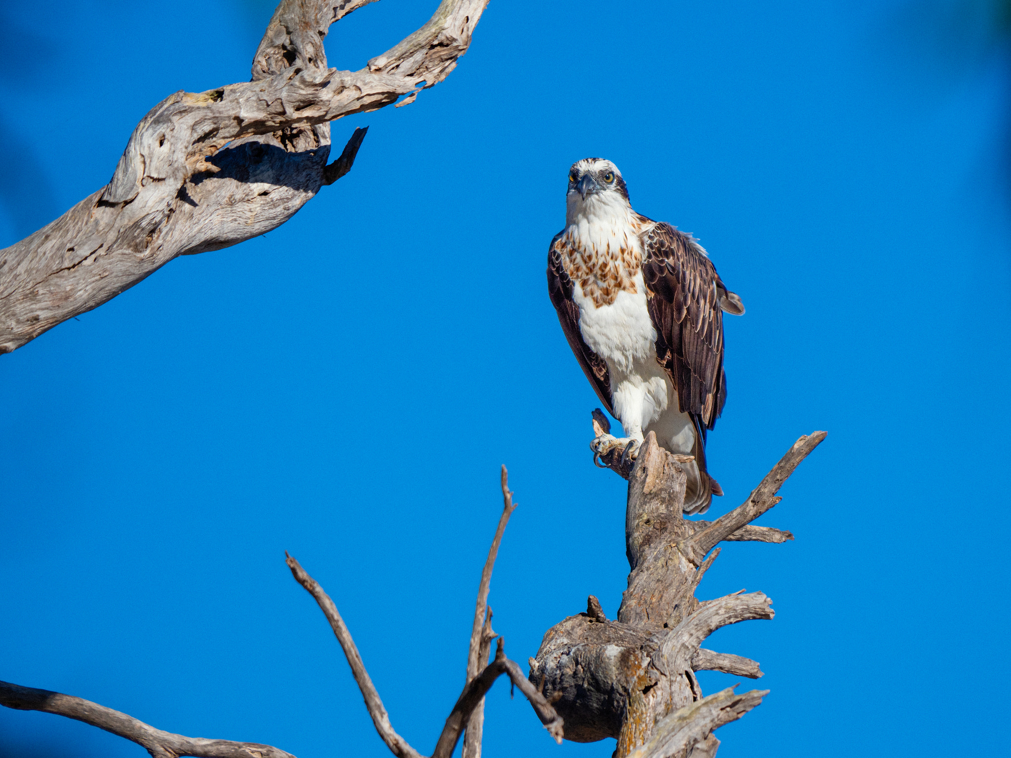 Yoondoordo by Paul Amyes on 500px.com