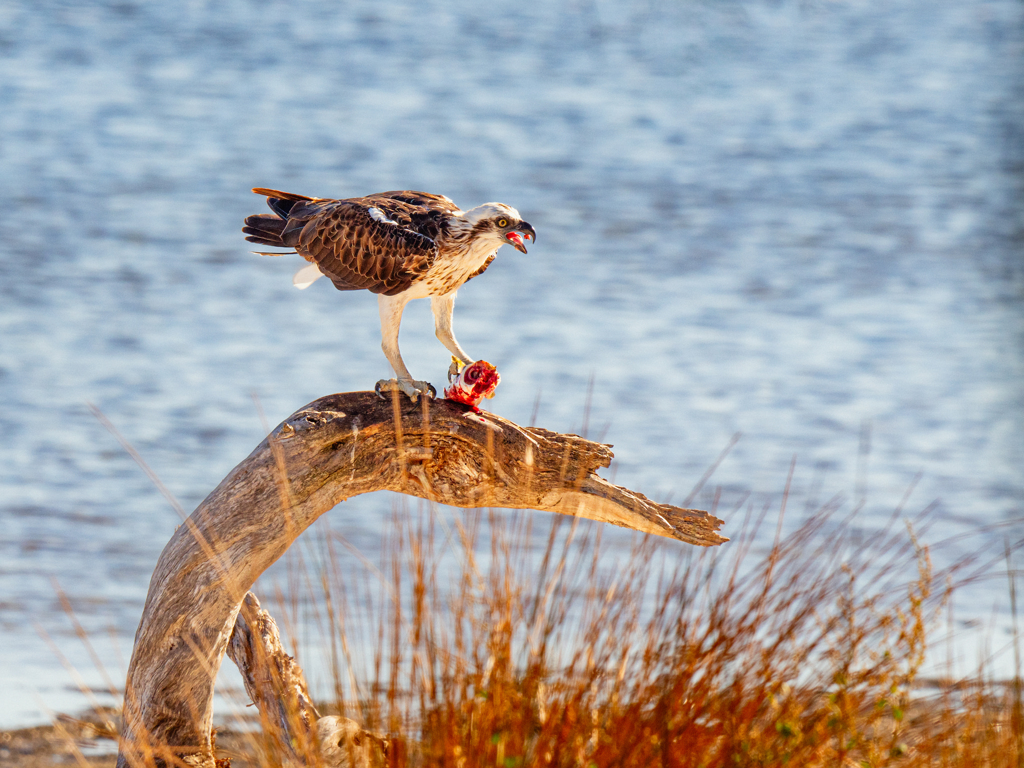 Yoondoordo by Paul Amyes on 500px.com