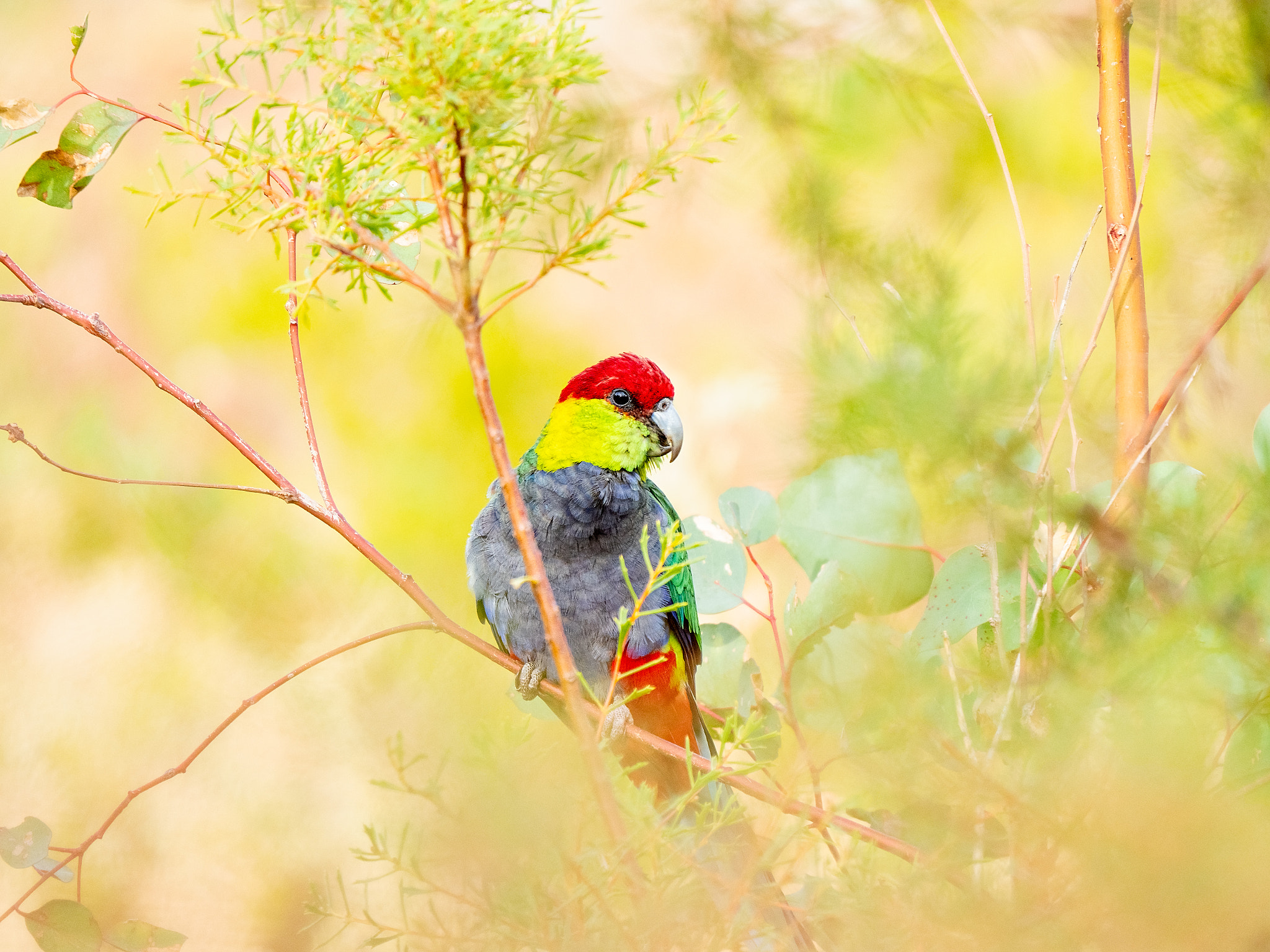 Delyip by Paul Amyes on 500px.com