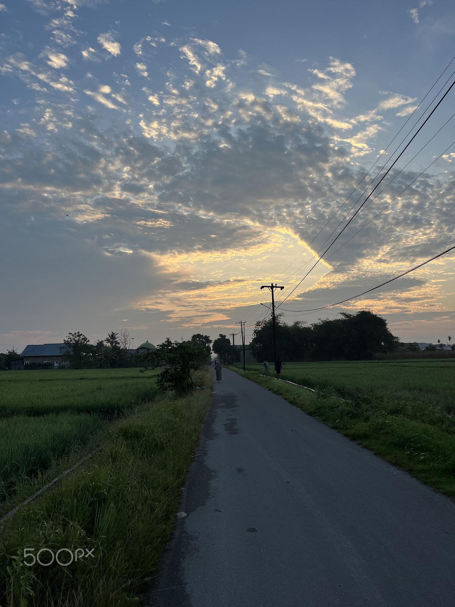 Rural morning ambience