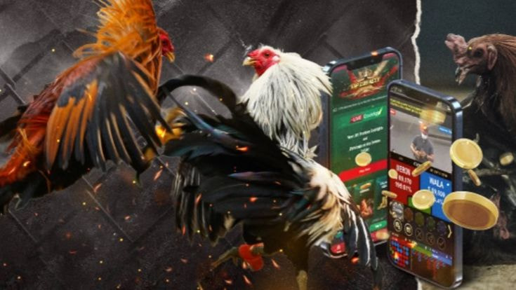 v2?sig=ea76669101c6ad36c3bef2f1499d9ab1cc9e8ca6feacbc13f5be95d955a4e37b