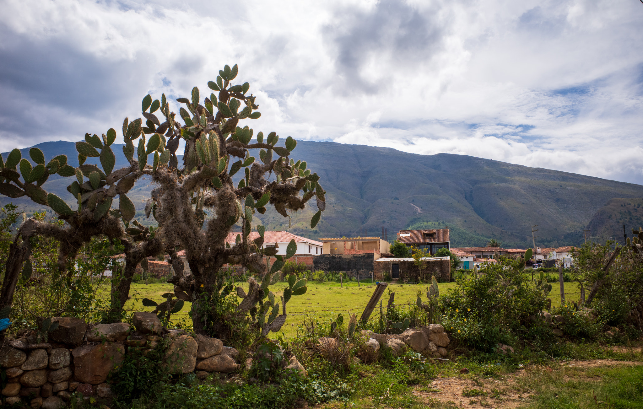 Untitled by www.fretensonja.nl on 500px.com