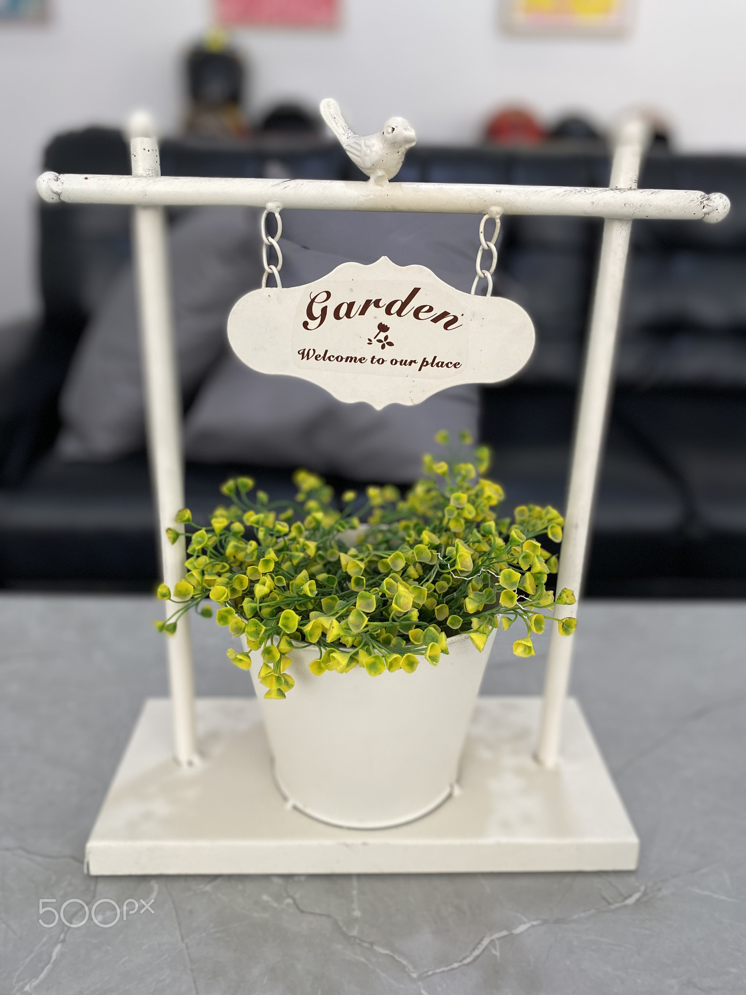small green plant decoration on the living room table