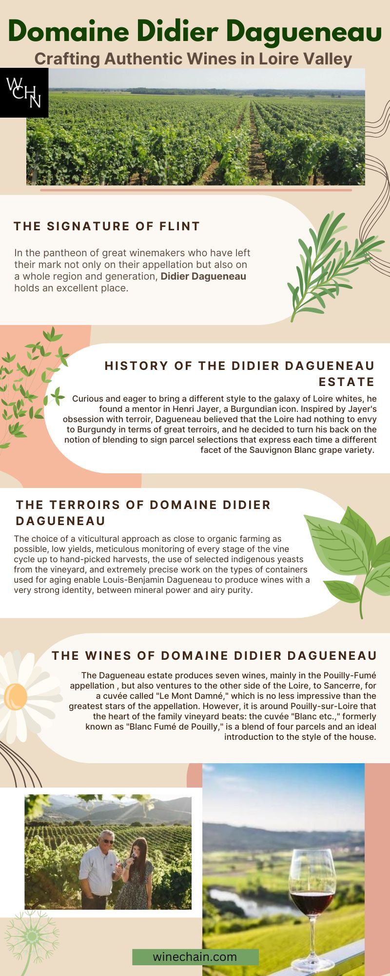 Buy Domaine Didier Dagueneau Online | WineChain