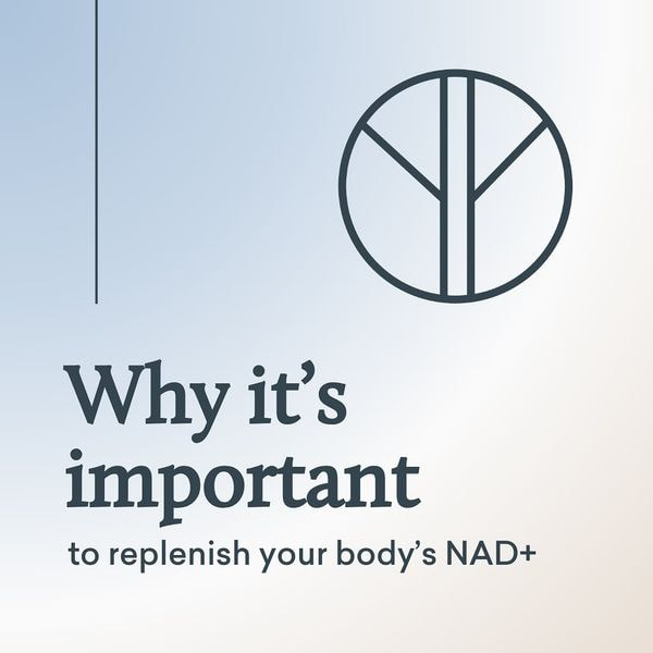 Optimise Your Wellbeing and Experience the Power of NAD