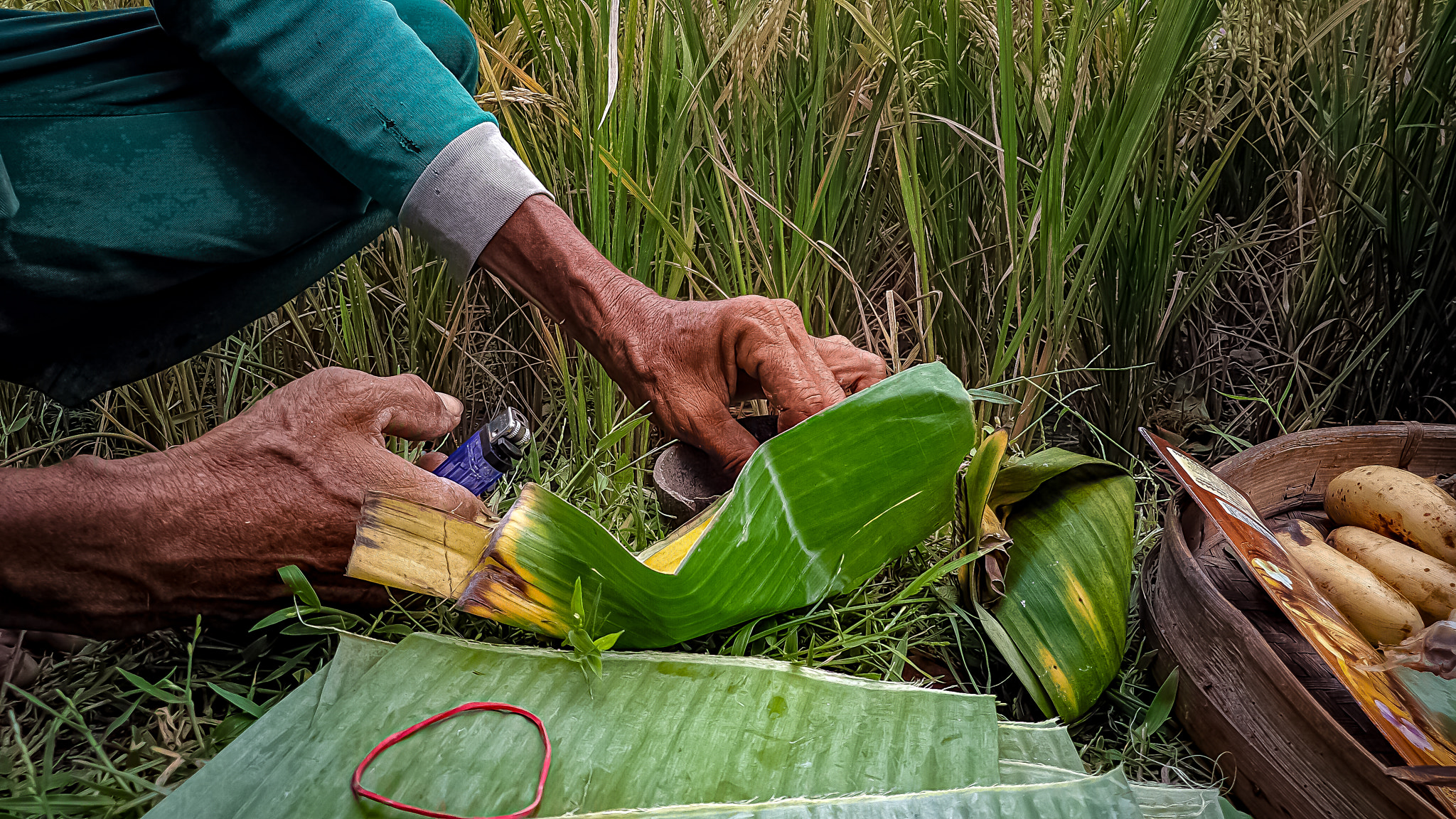 v2?sig=22a948764308fc07baef35b80193e0603999d9cb6b43bdb2993e67833889ef65