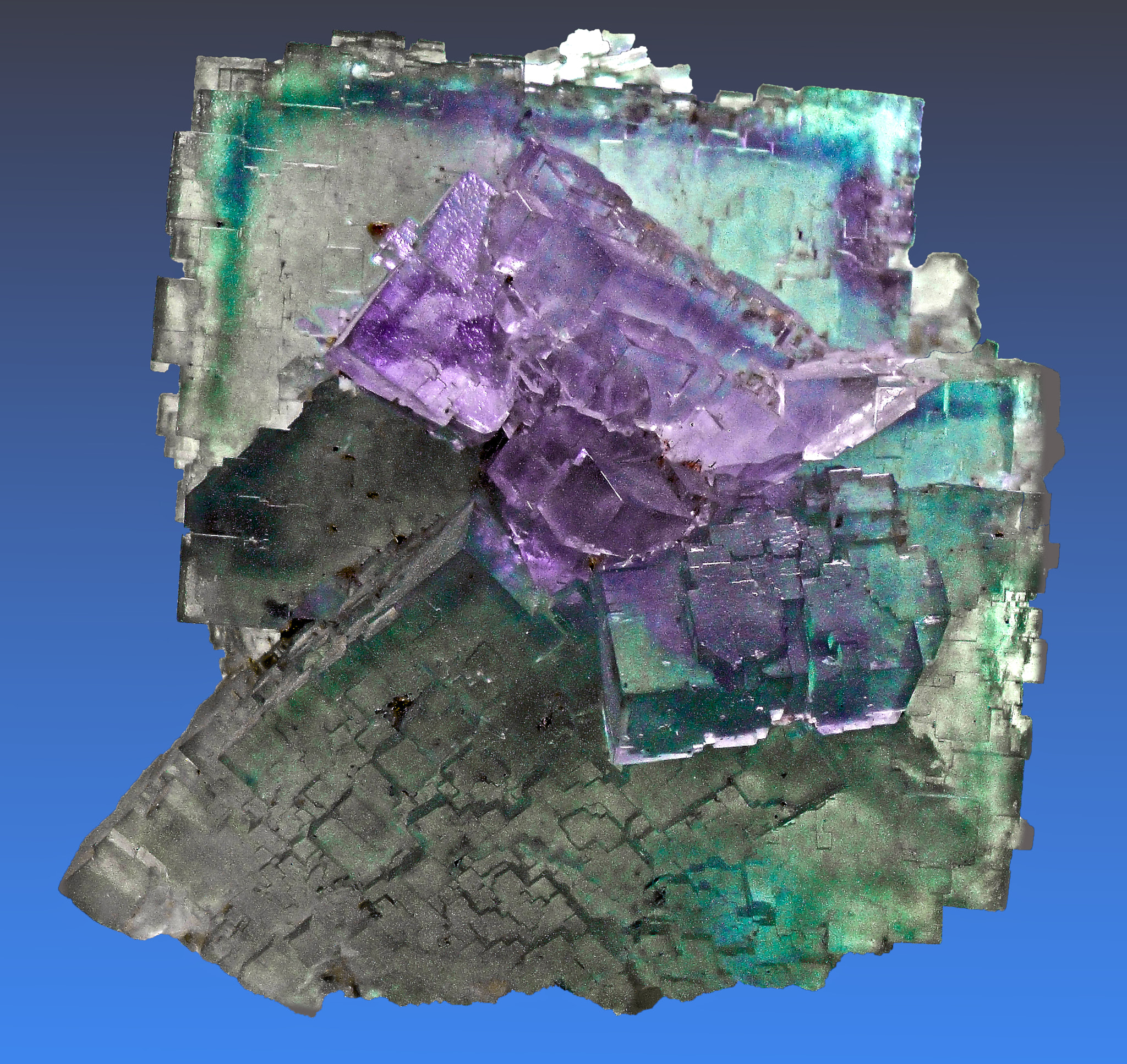 v2?sig=9930fc1365ef82369c0fee31d6188bc987d76131d904390fe267ae5c8455ea74