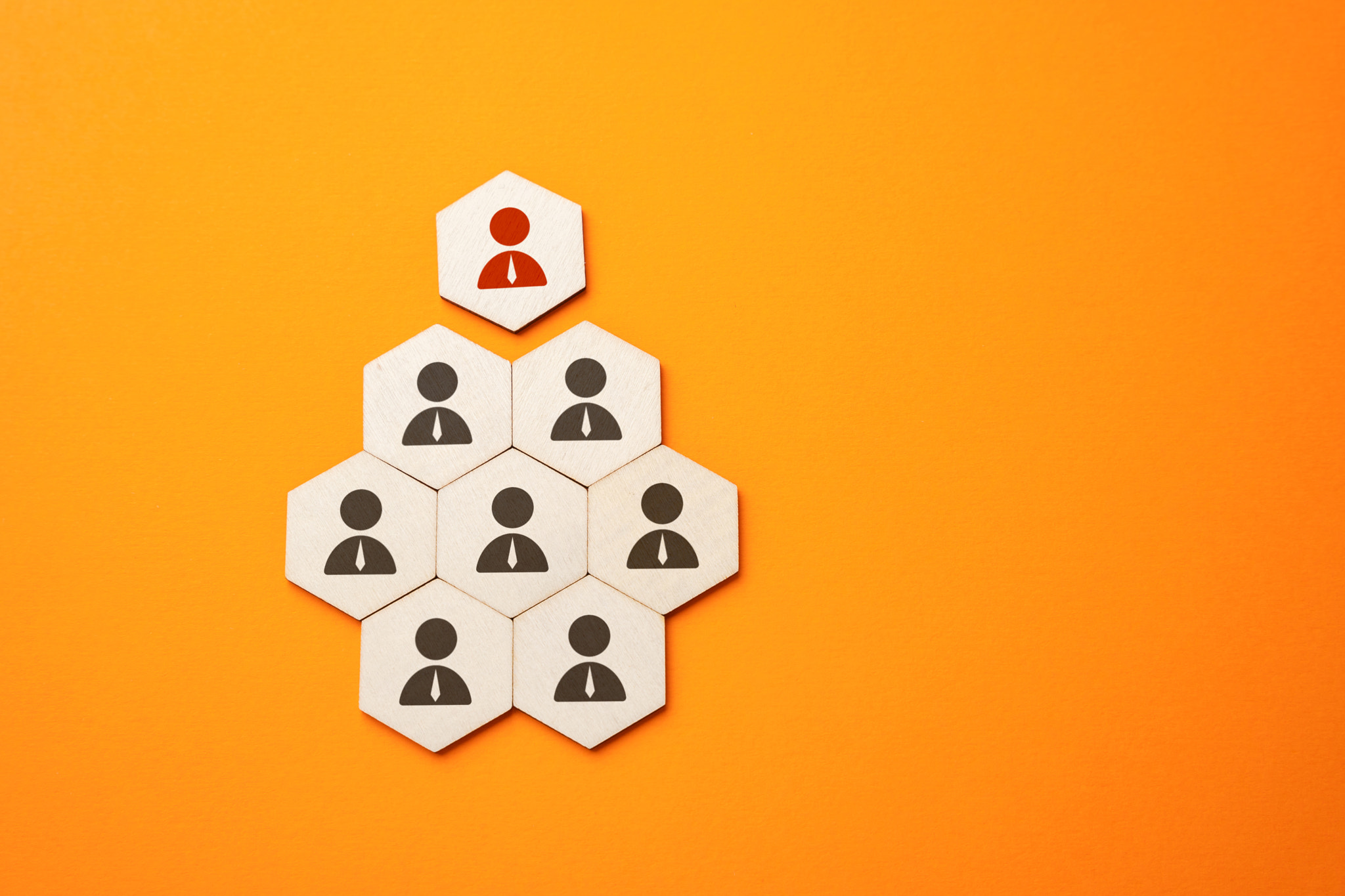 The leader will lead the team. Discipline and teamwork. Leadership and personnel management. Distrib