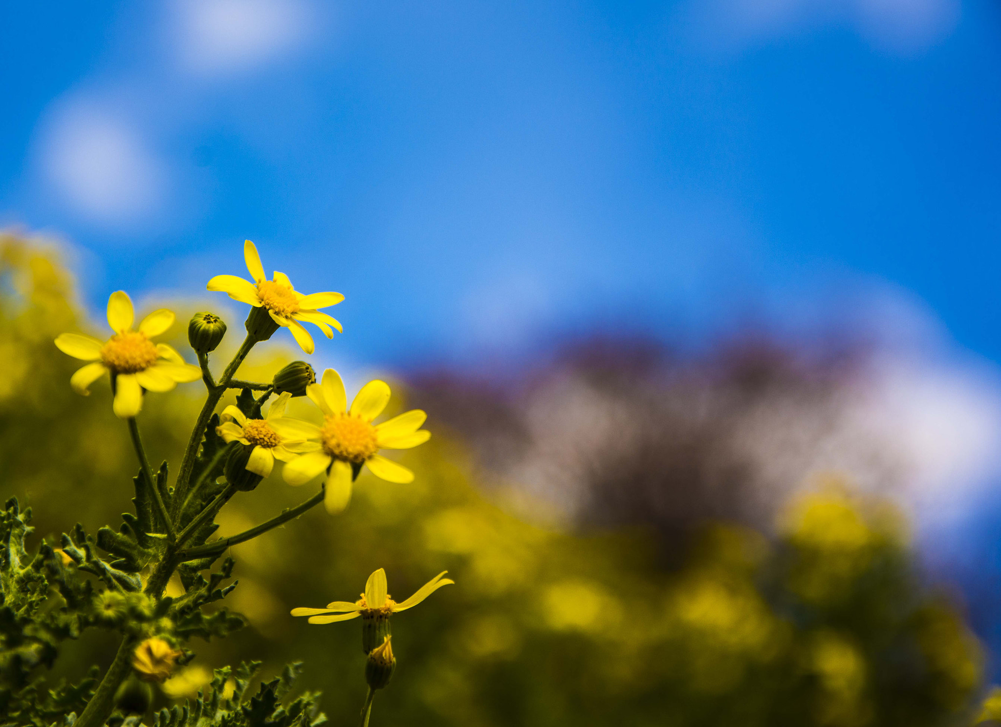 v2?sig=87fc8b4175780678e7bef0751ed0f4a598076fd244e22f2e68072a9bb03927c9