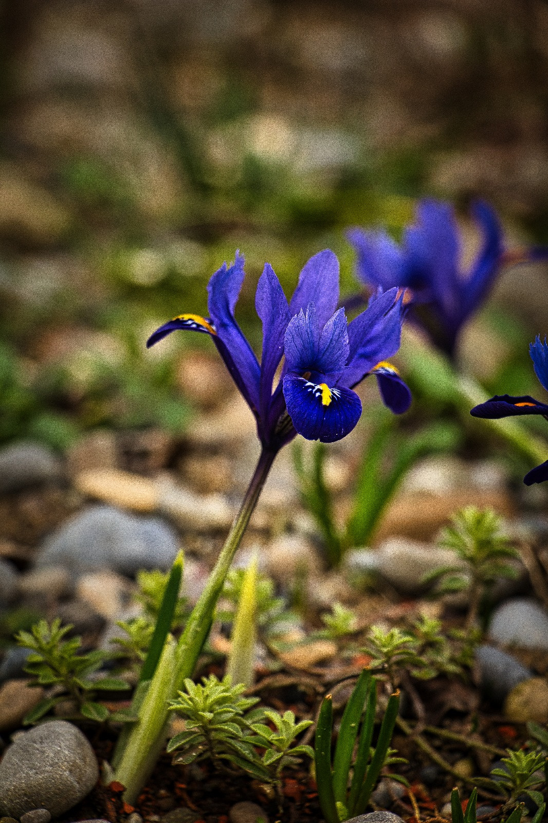Guten Morgen nach der OP