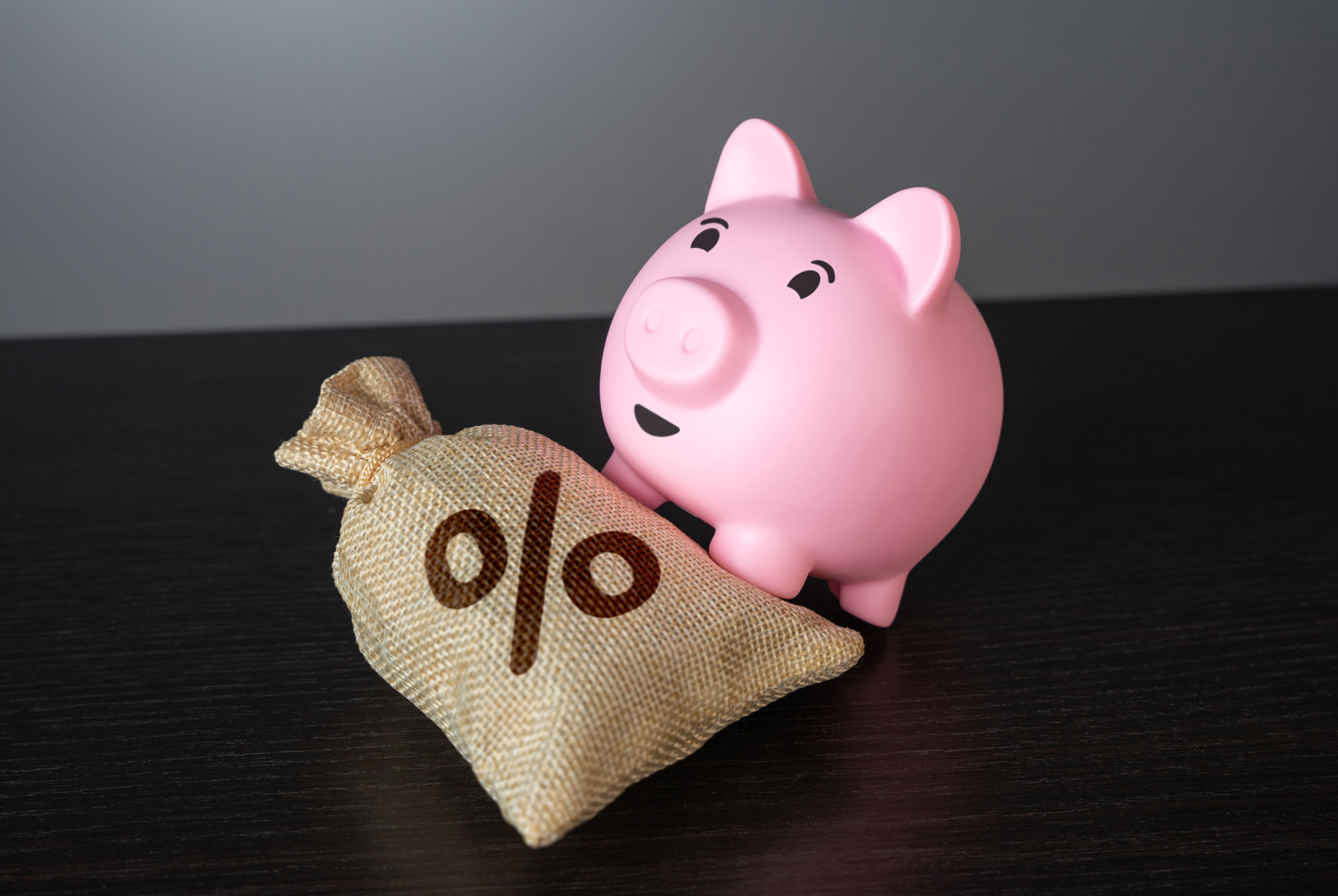 The piggy bank was struck down by debt. Get the best interest on your deposit. Profitability and pro
