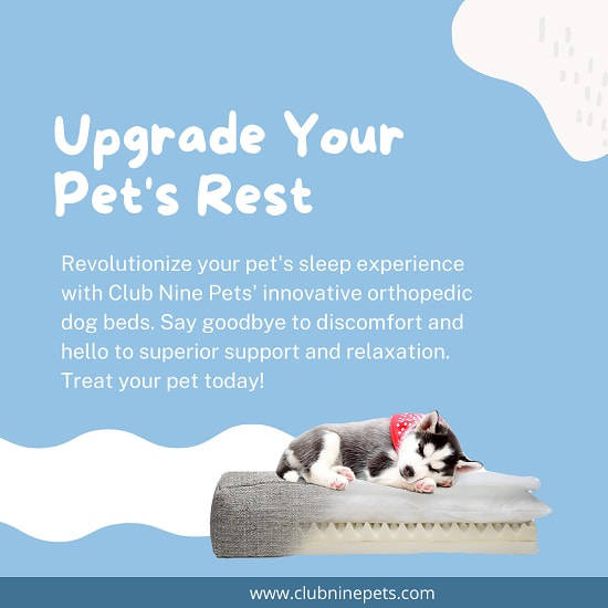 Premium pet beds | Clubninepets.com