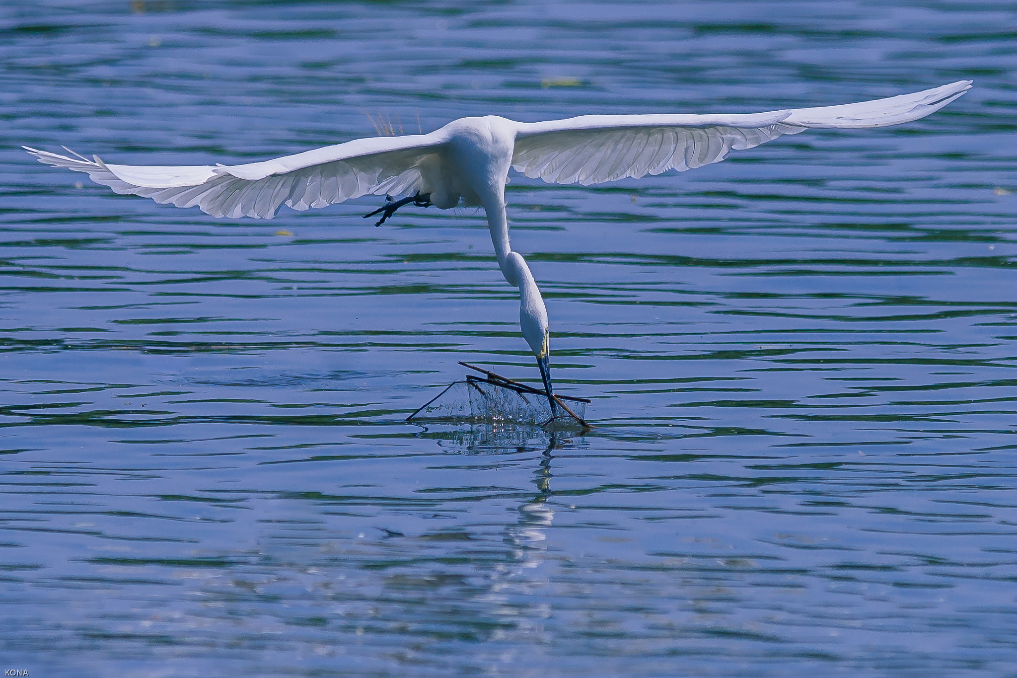Nikon AF-S Nikkor 400mm F2.8G ED VR II sample photo. Sagi photography