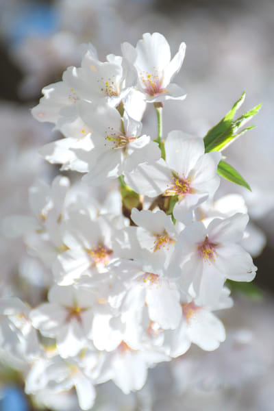 松间鹤's Photos & Galleries | 500px