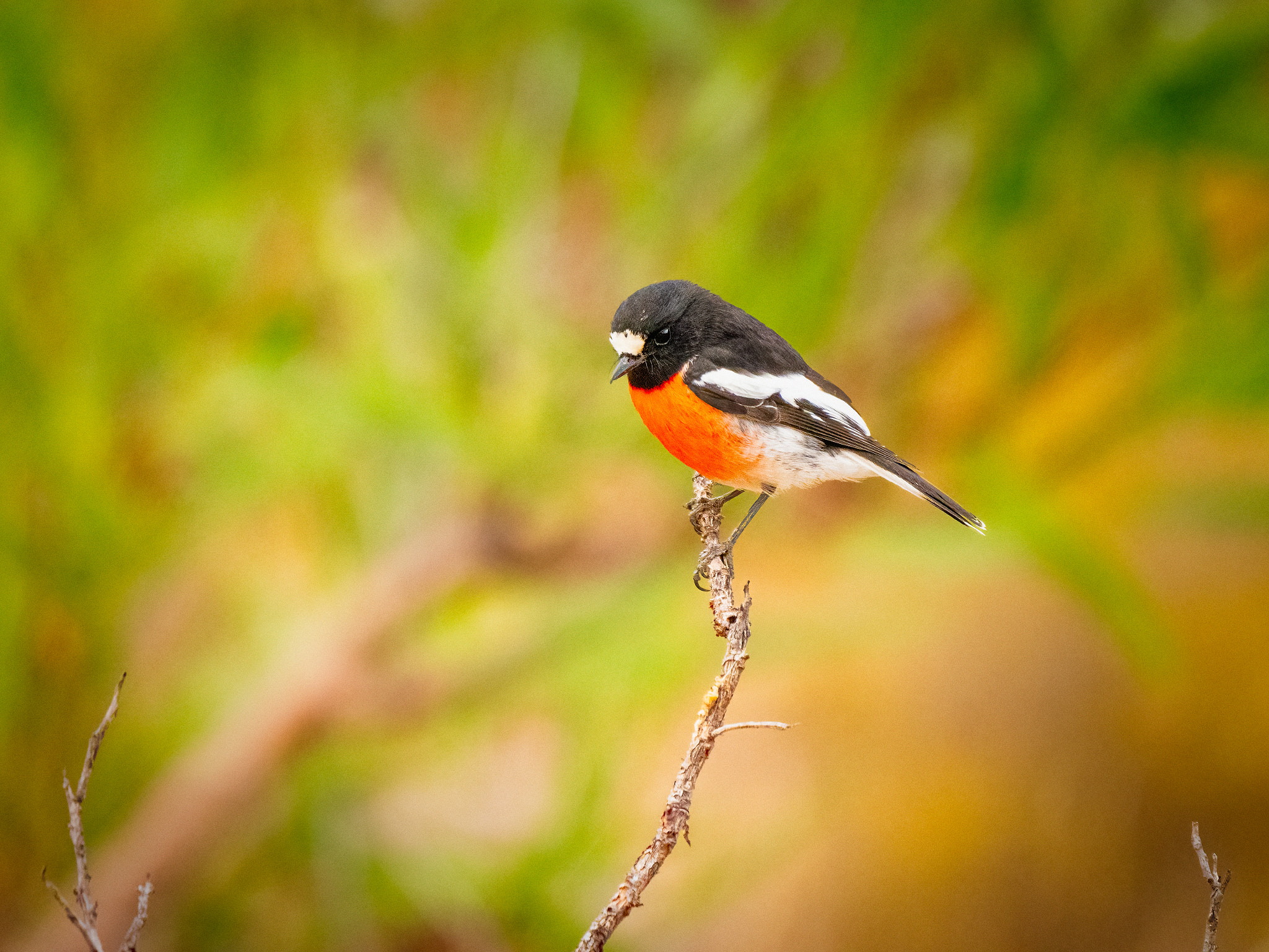 Dermokalitj by Paul Amyes on 500px.com