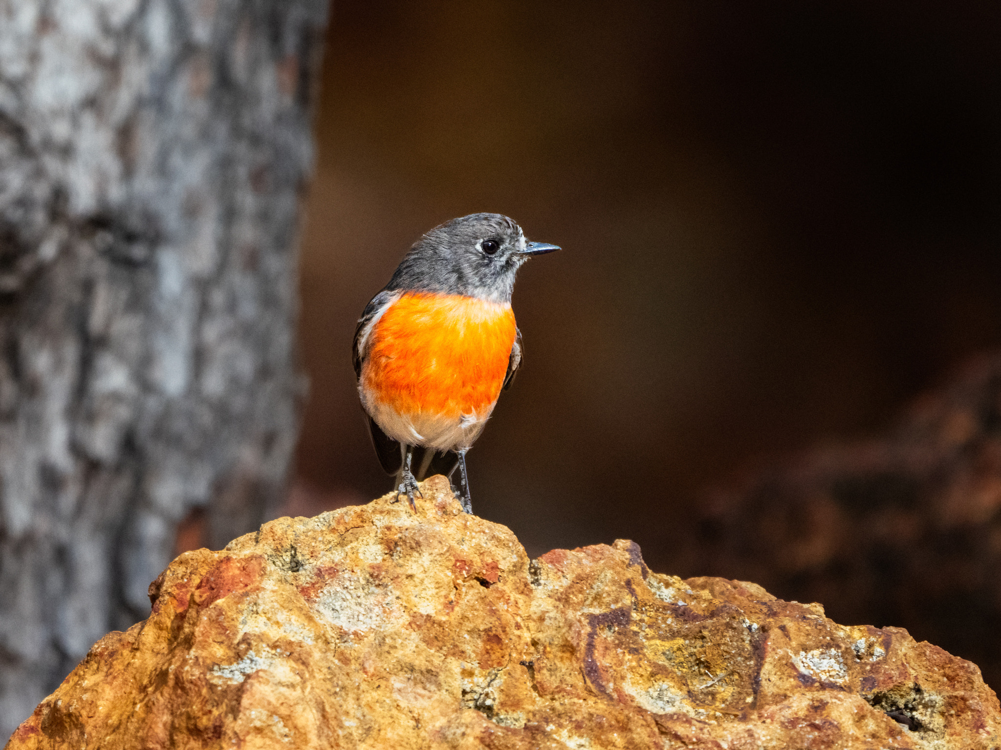 Dermokalitj by Paul Amyes on 500px.com