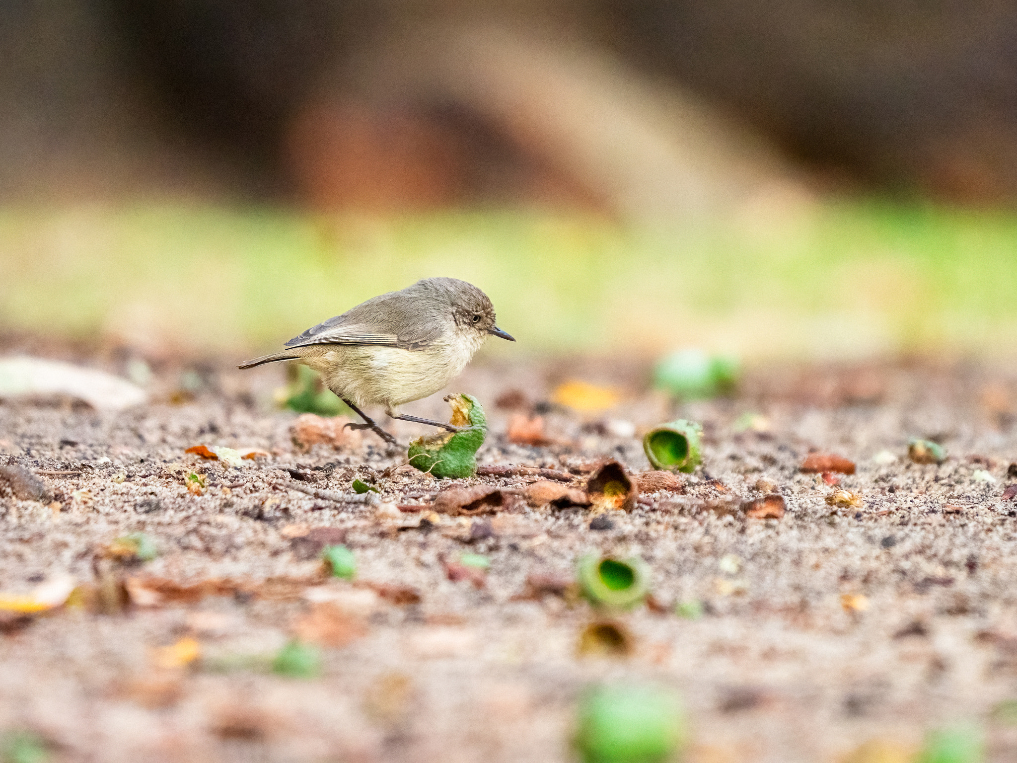 Djobool-djobool by Paul Amyes on 500px.com