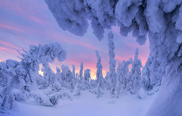 ALASKA, ALONG DALTON HIGHWAY-70714 by Raimondo Restelli on 500px.com