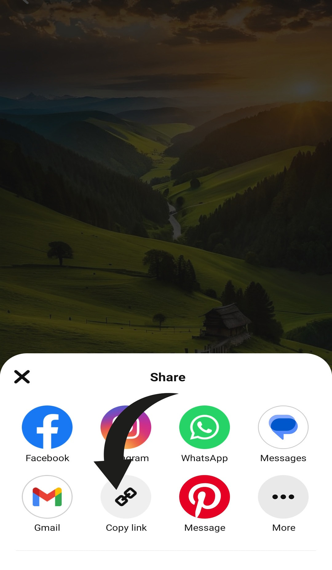 Download Pinterest Video | Pinterestsaves.com