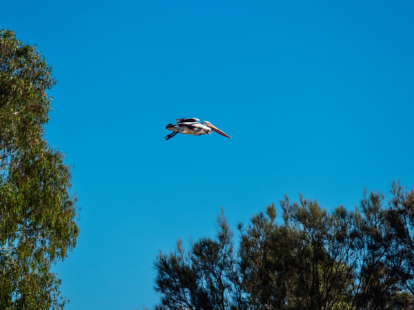 Boodalang by Paul Amyes on 500px.com