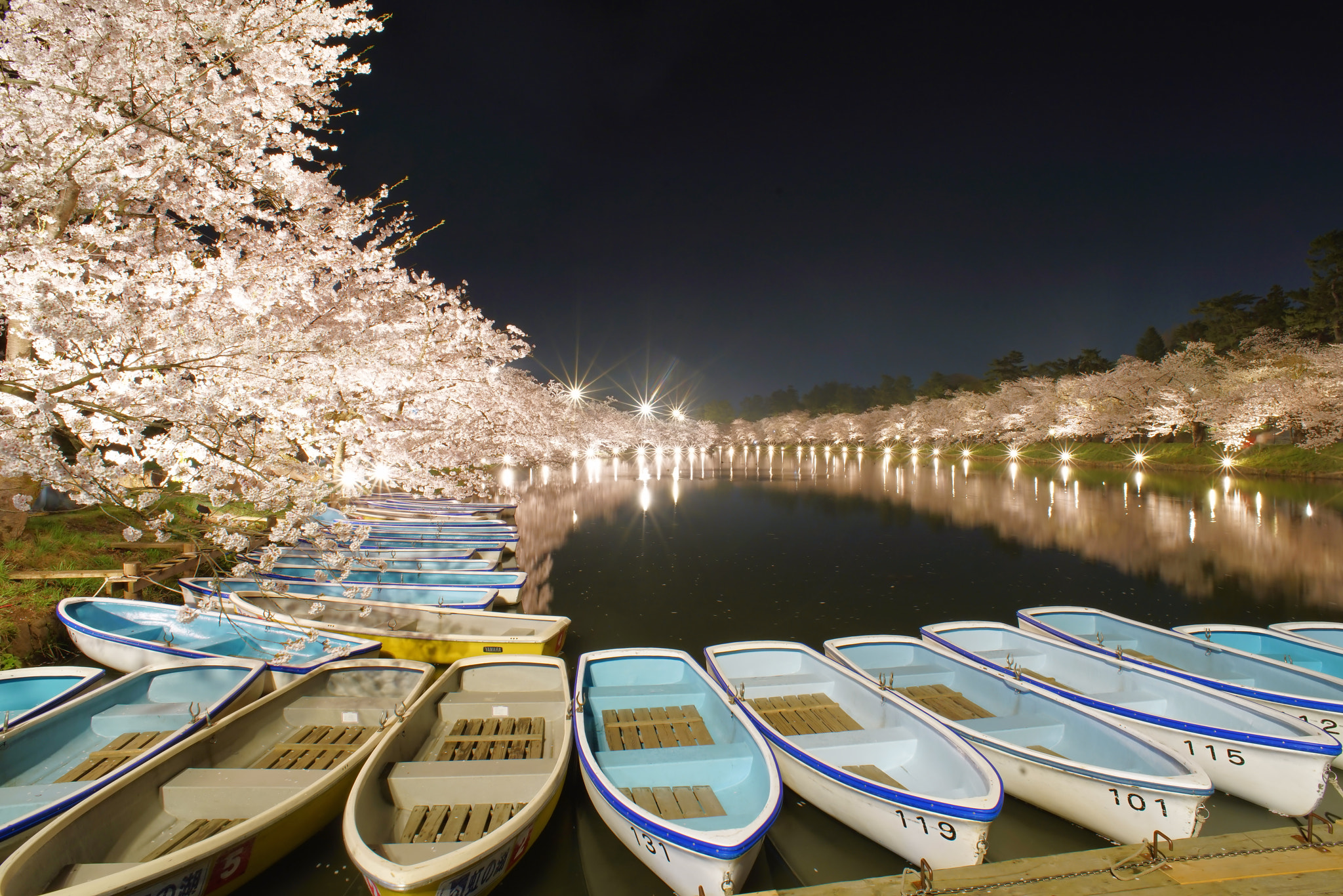 kingfisher by shoji uno on 500px.com