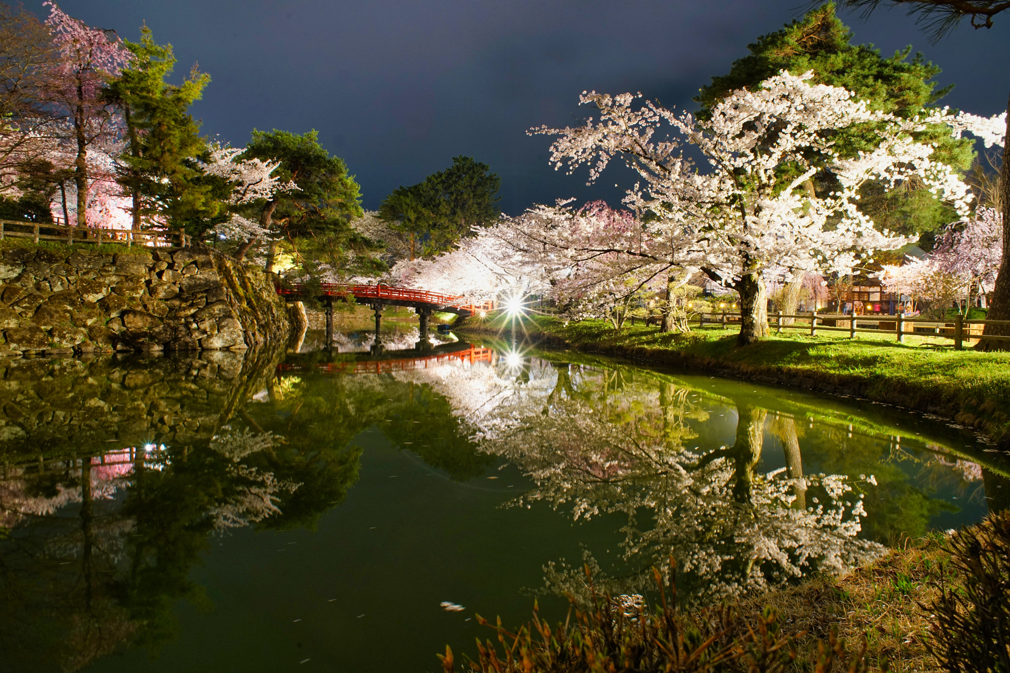 kingfisher by shoji uno on 500px.com
