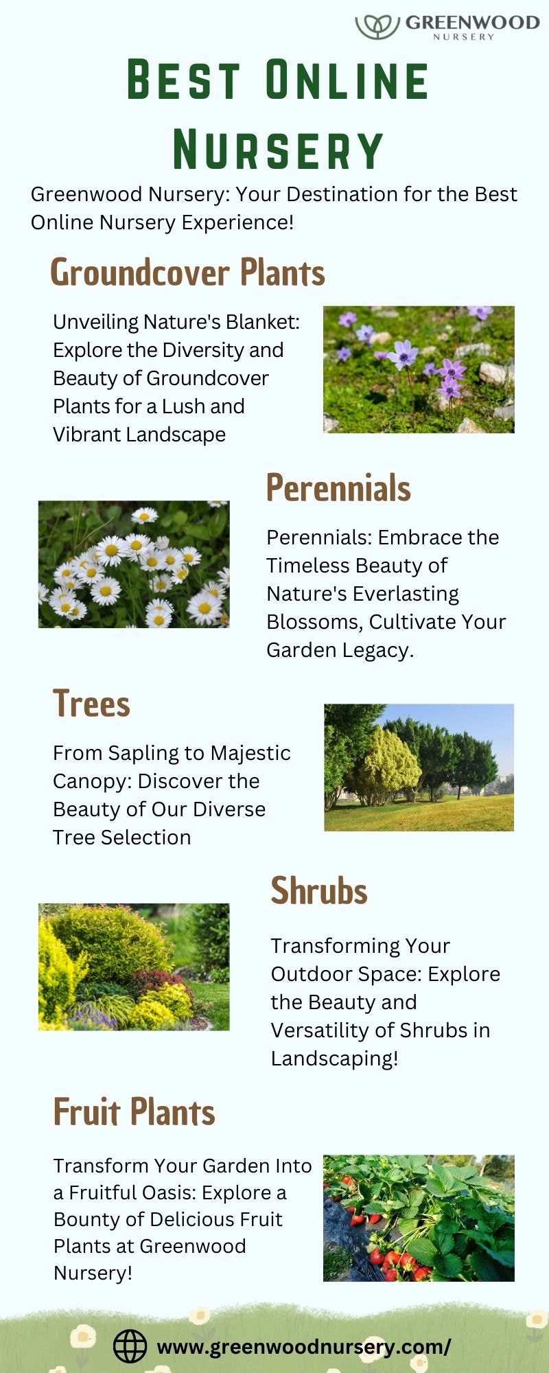 Find the Best Online Nursery for All Your Plant Requirements.