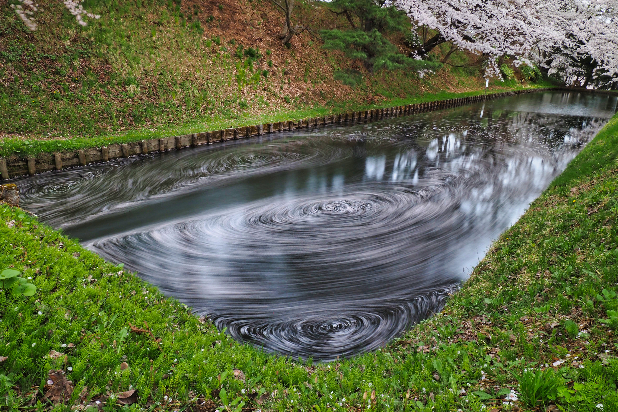kingfisher by shoji uno on 500px.com