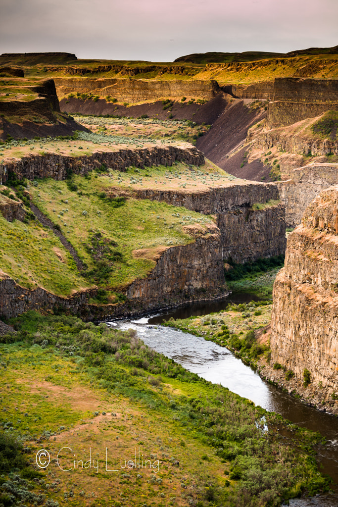 Palouse river by Cindy Luelling / 500px