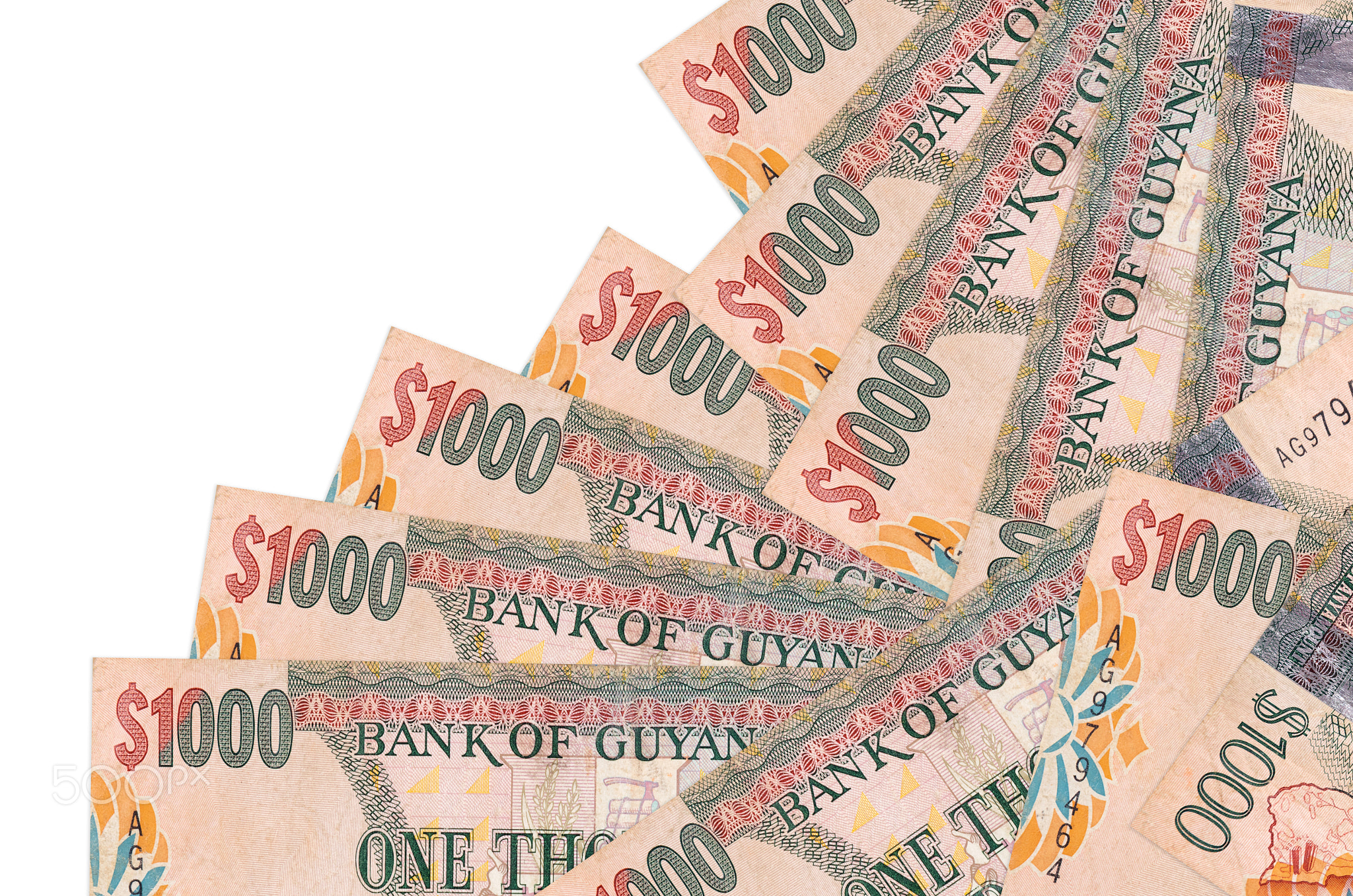 1000 Guyanese dollars bills lies in different order isolated on white. Local banking or money making