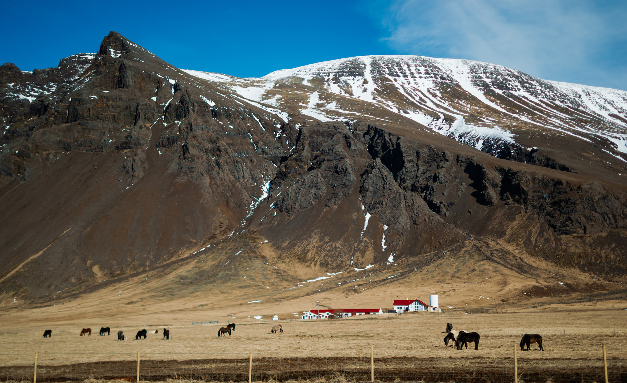 Scenic view of snowcapped mountains against sky with small red house and horses in the field