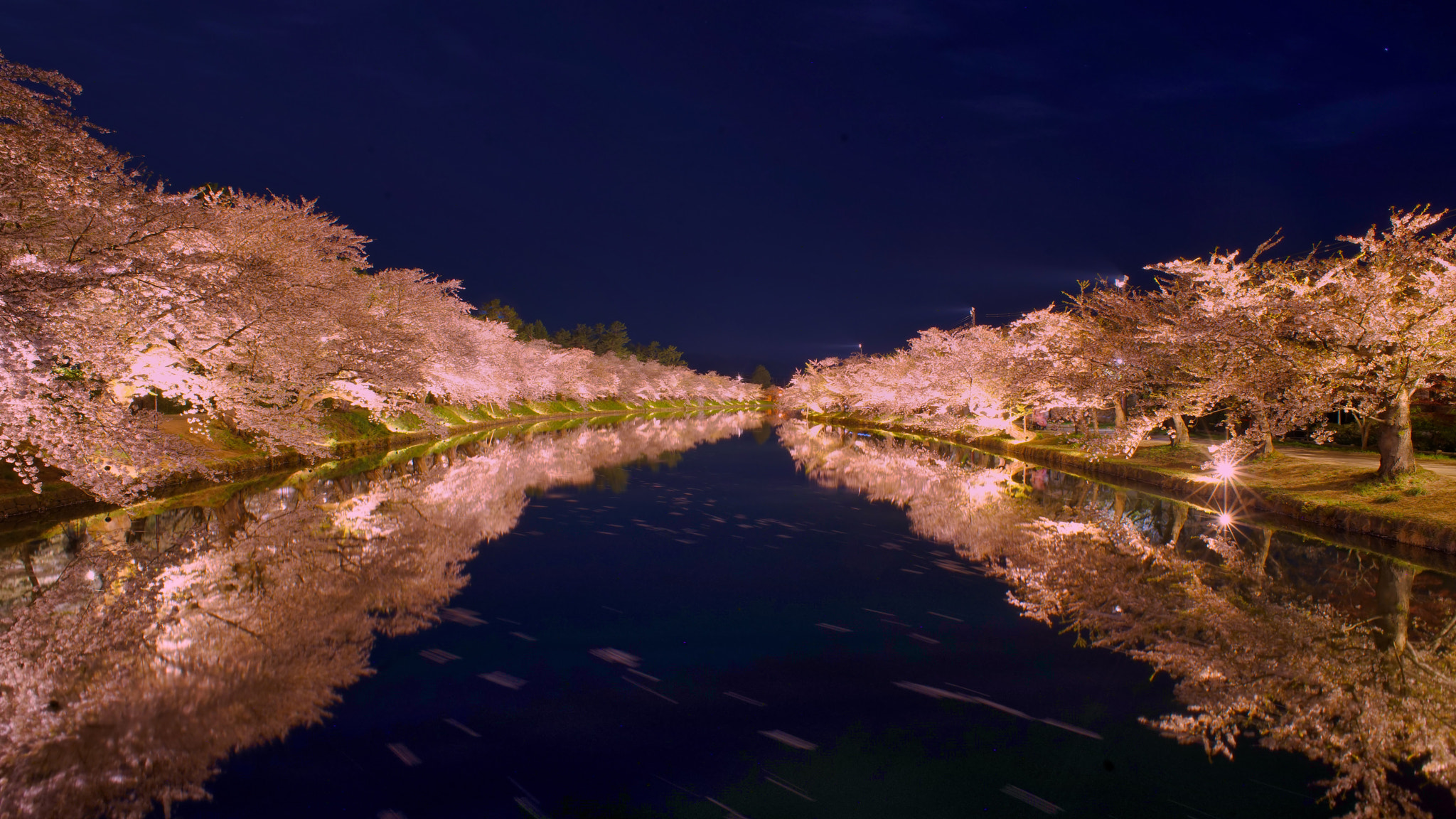 kingfisher by shoji uno on 500px.com