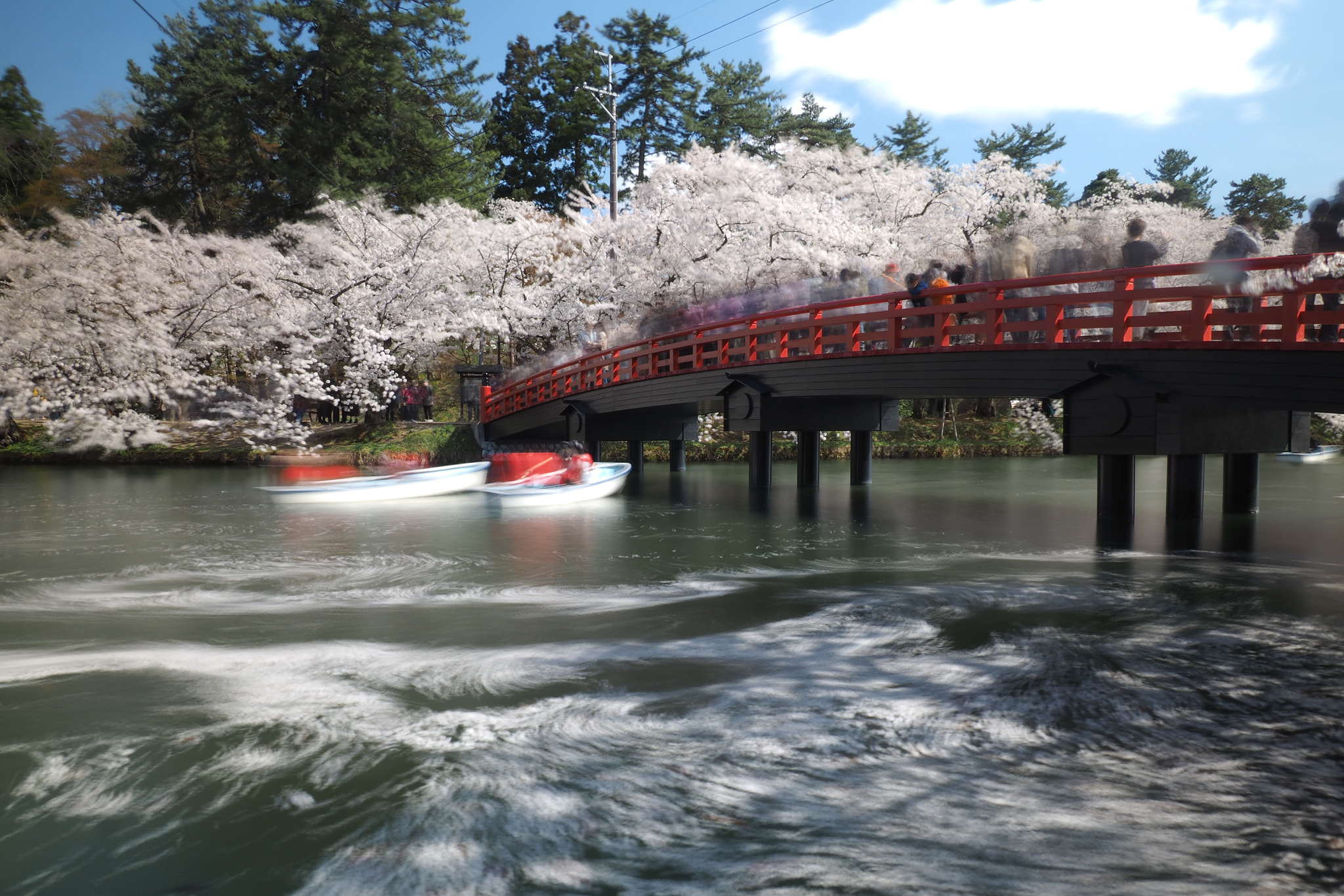 kingfisher by shoji uno on 500px.com
