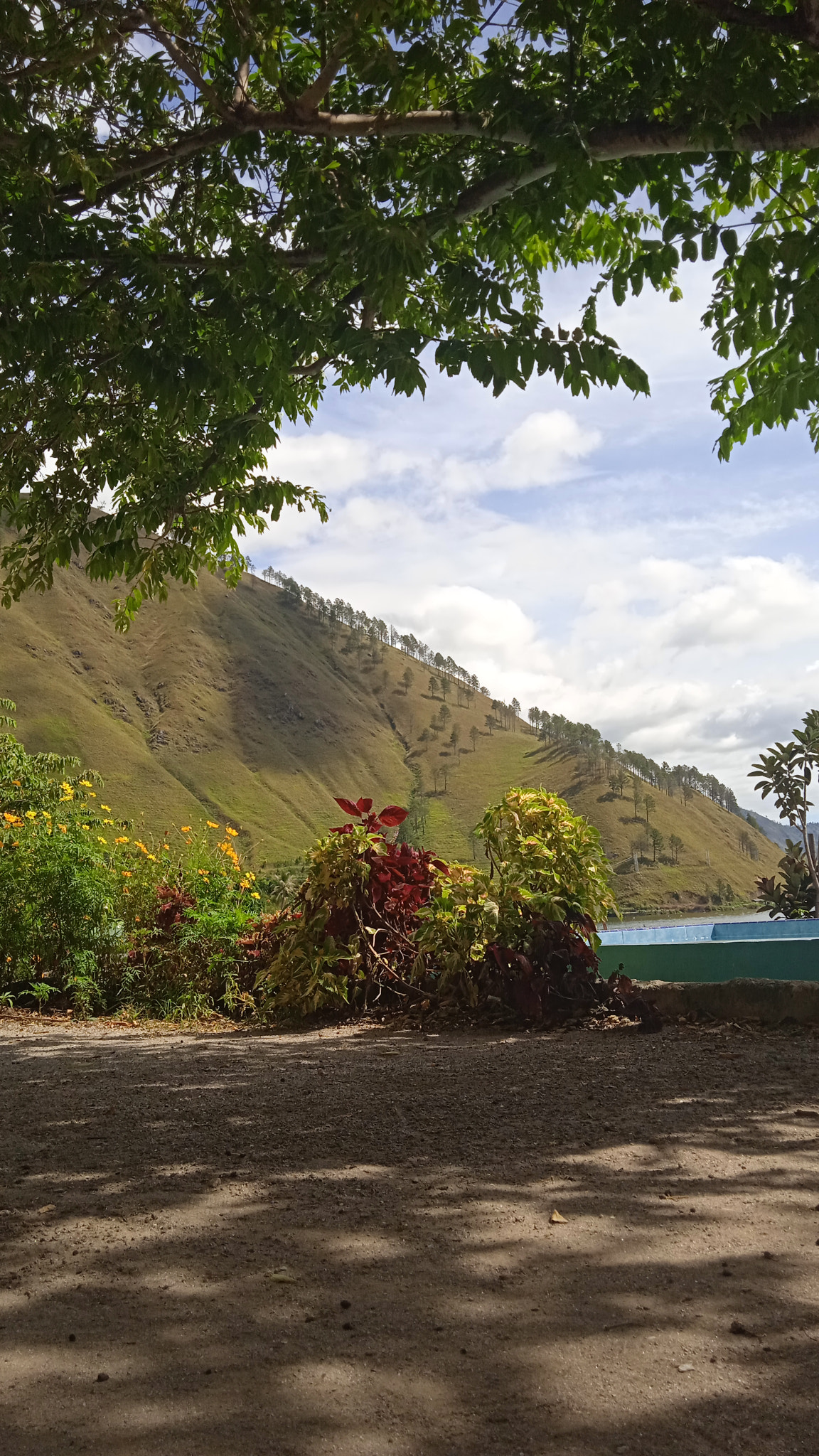 v2?sig=9bacd4be2679b74f2f7c75bf9d6f051dbd0a1f9ccb156d89ac211d5c7a7561d3