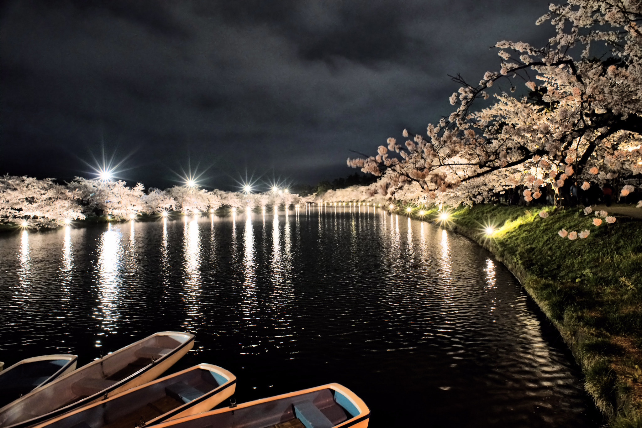 kingfisher by shoji uno on 500px.com