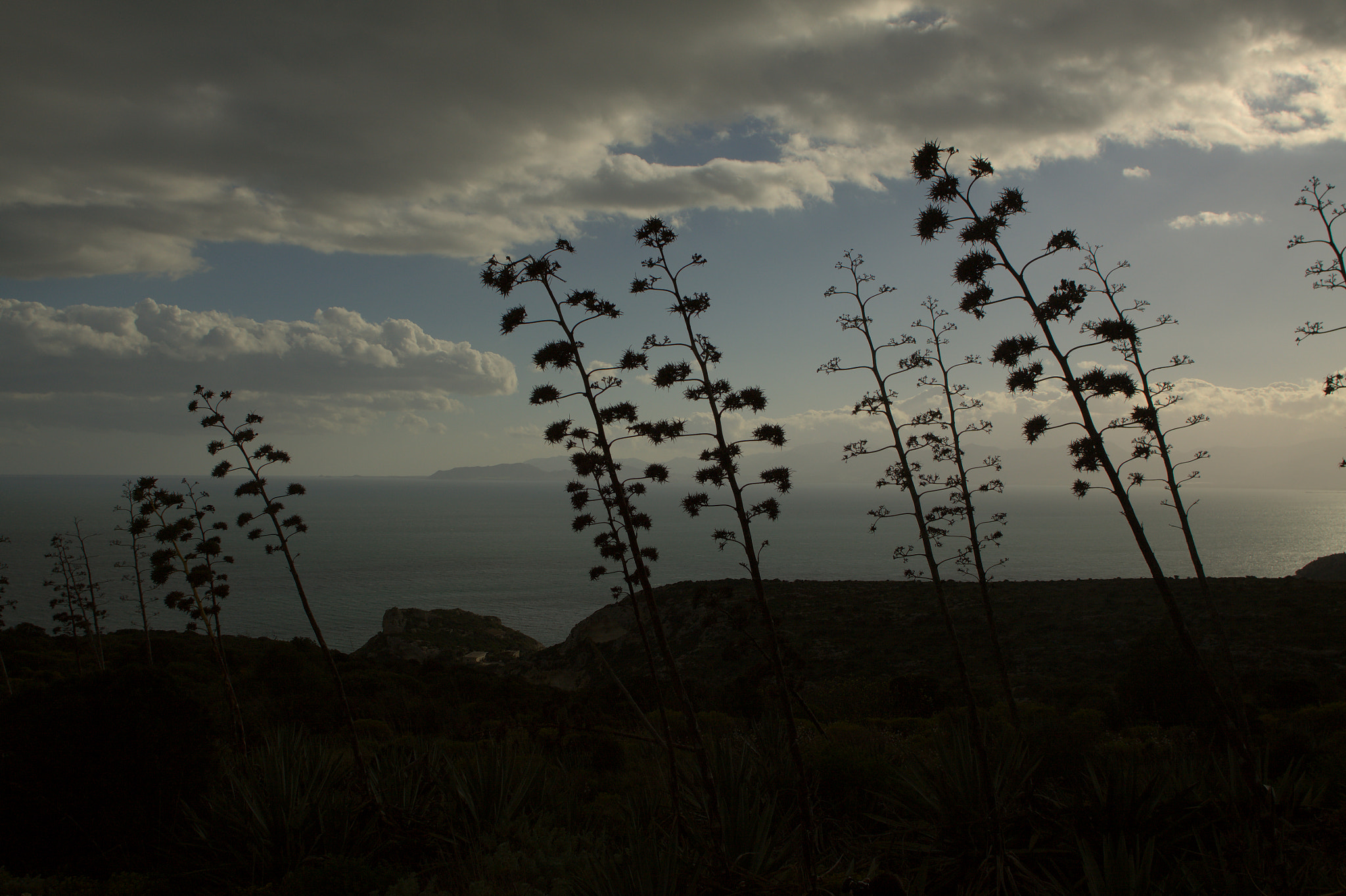 Canon EOS 50D + Canon EF 20mm F2.8 USM sample photo. Sardegna photography