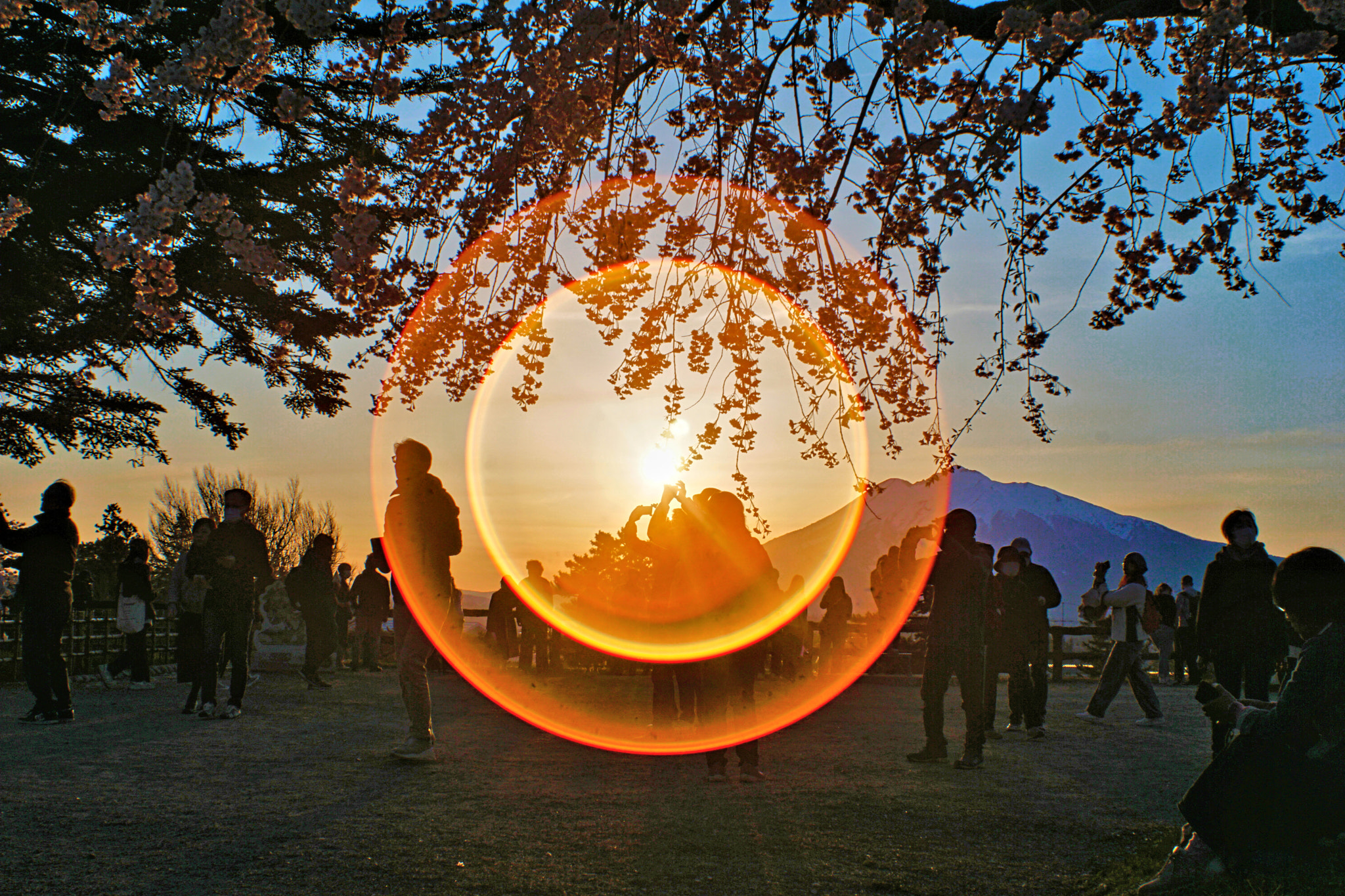 kingfisher by shoji uno on 500px.com