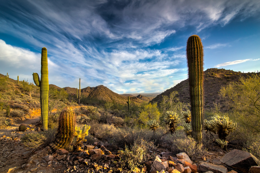 Arizona by Scott Doig on 500px.com