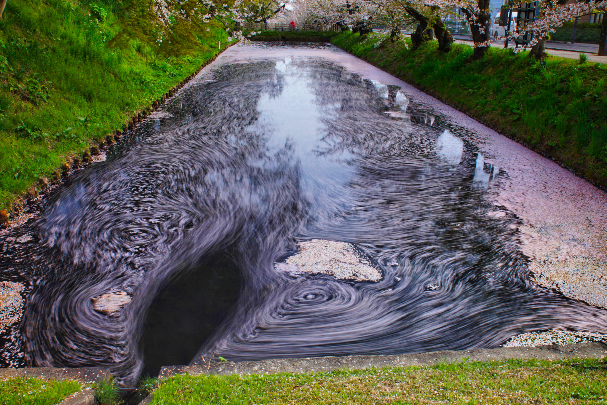 kingfisher by shoji uno on 500px.com