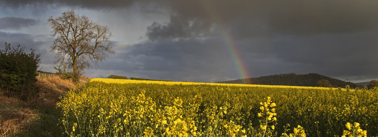 After the storm