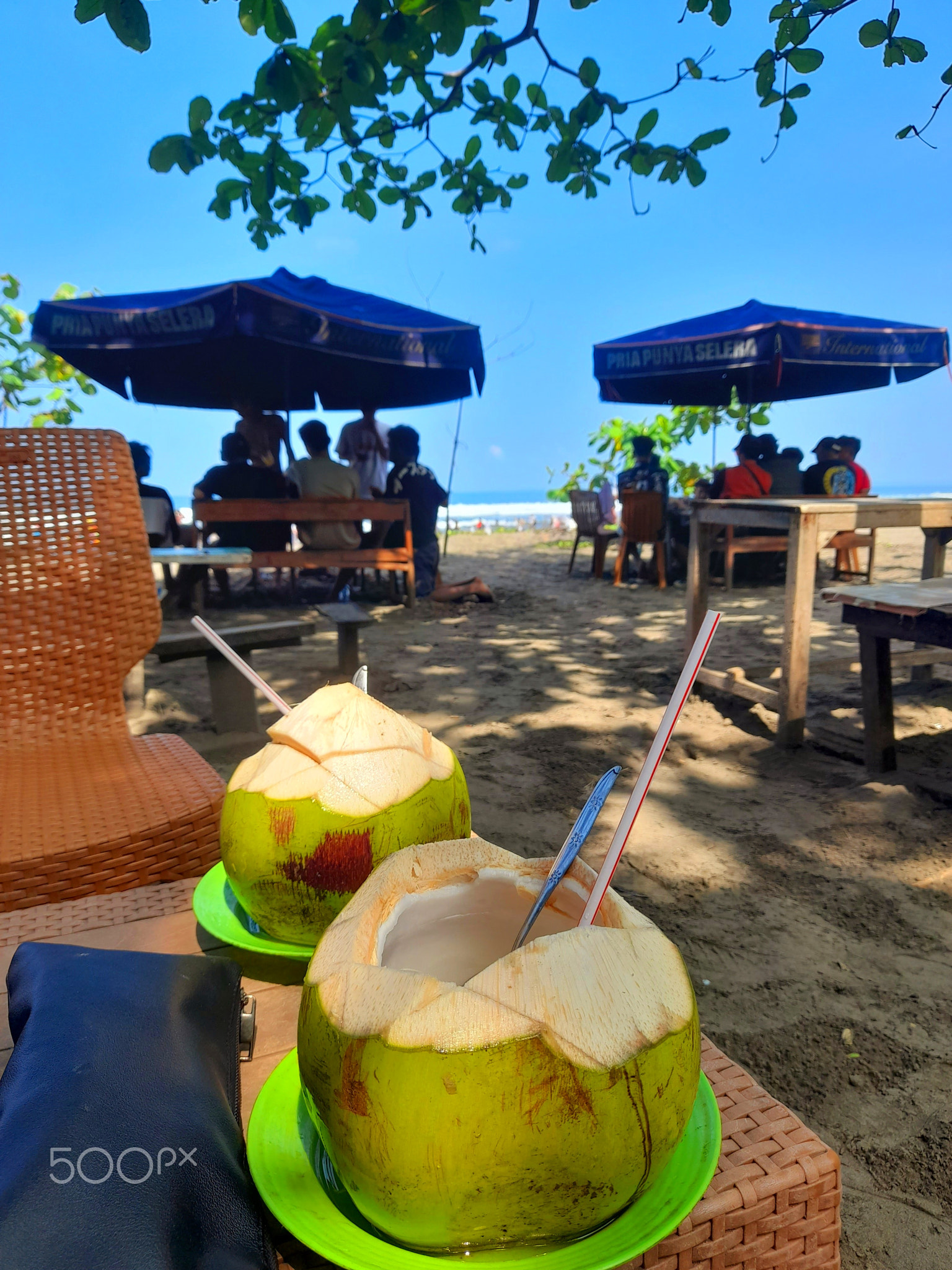 coconuts on the beach