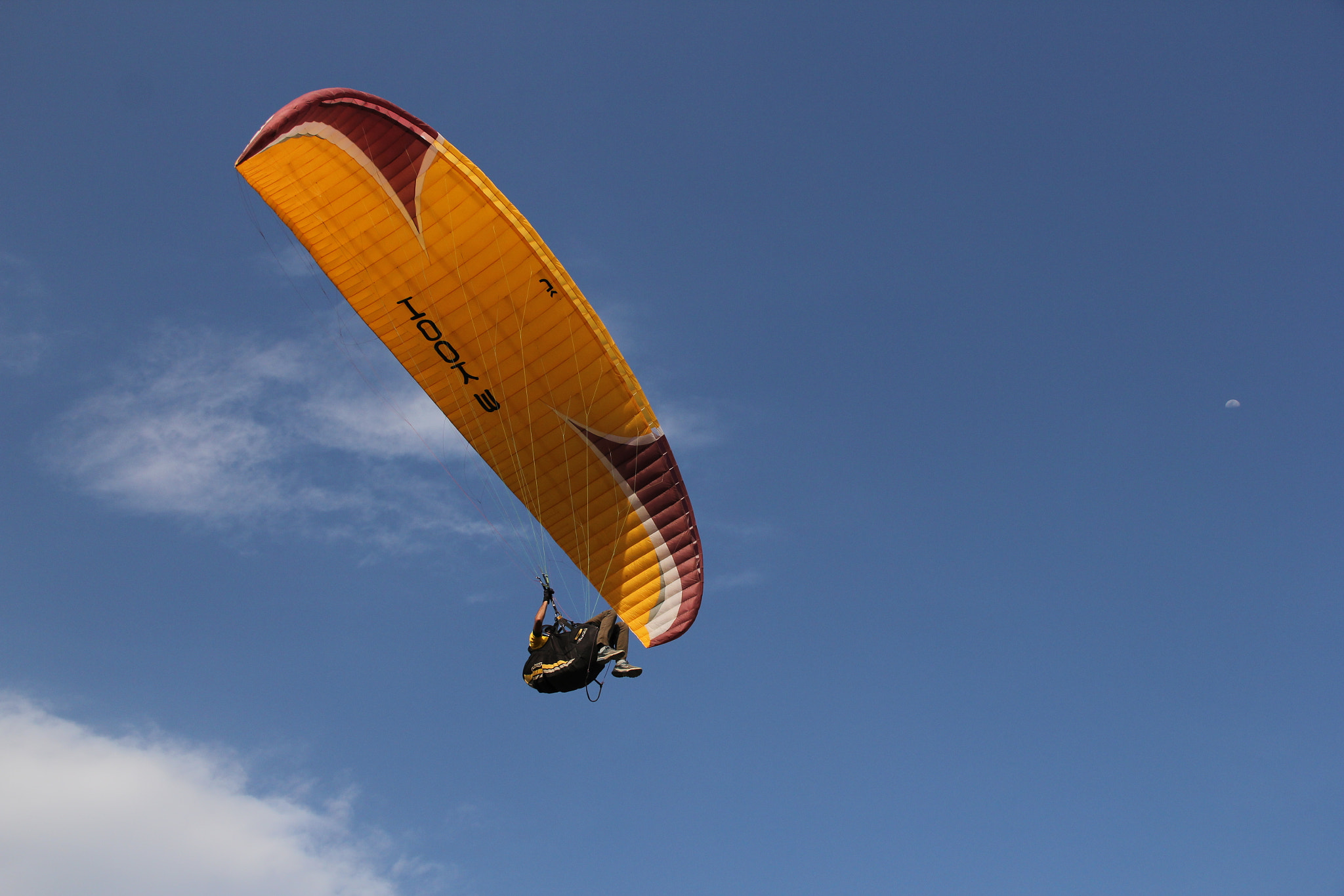 Paraglider