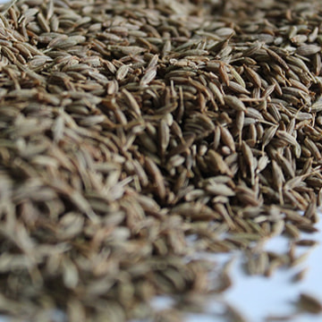 Cumin-seeds-singapore-99.5
