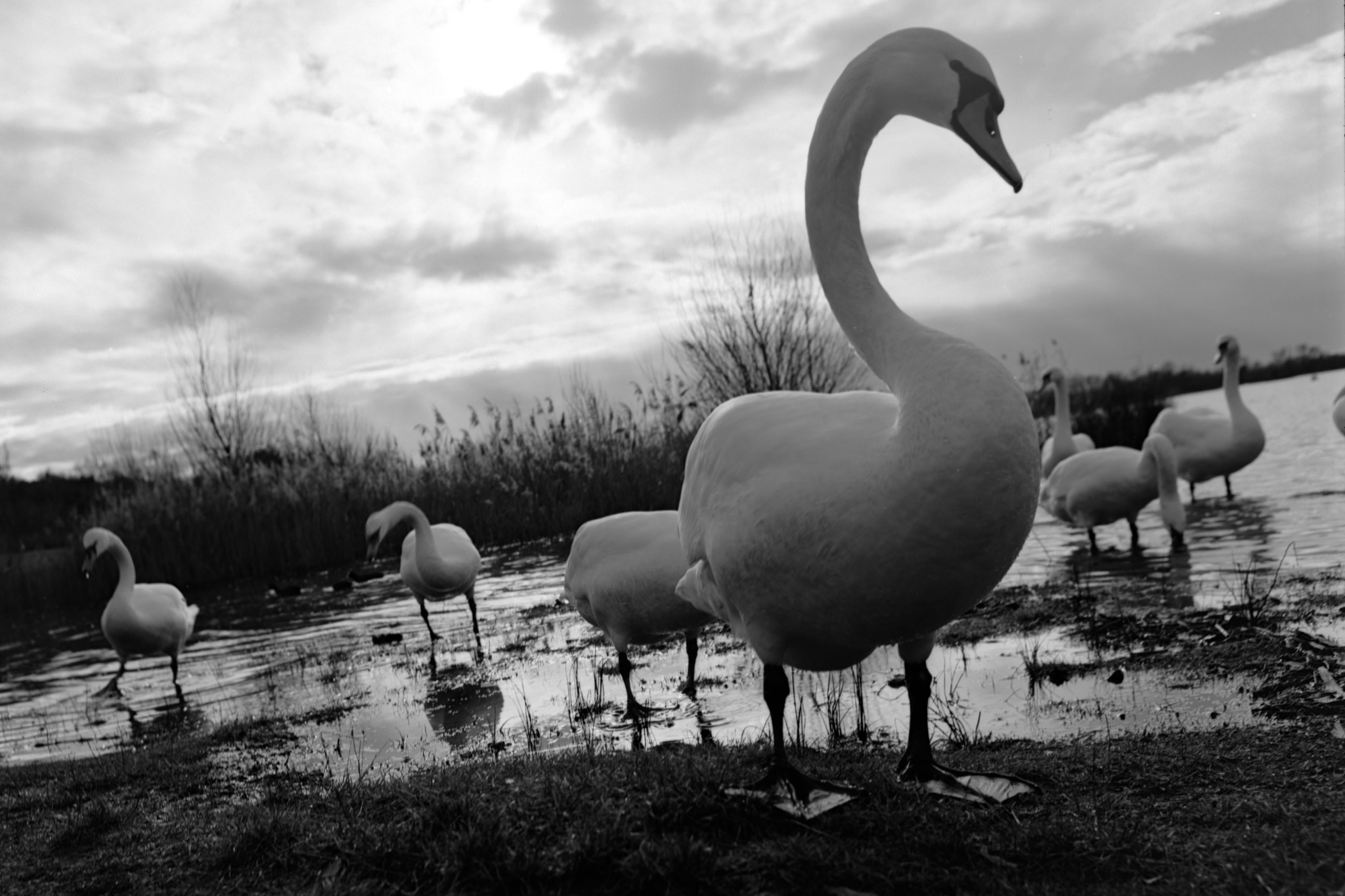 v2?sig=ac2dcf58a1b2fc026829430dc4482bd7b0921dd3f6307f584a236d8b62fa425b