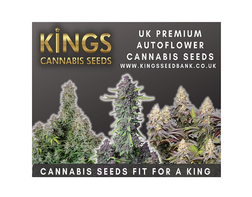 v2?sig=125fe88b1601d46b98c61b644a27f7e088aa7c3d5dc3e98268b015bdd45f7425