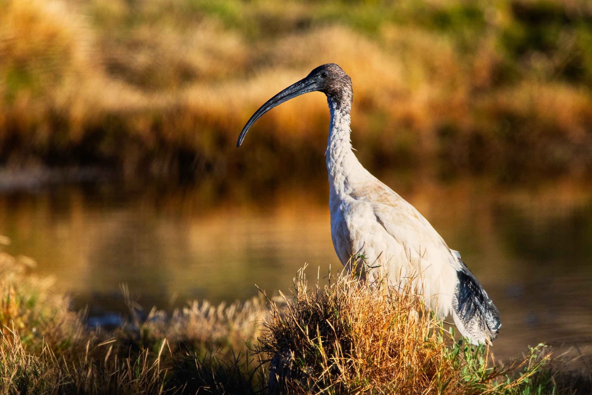 Ngalkaning by Paul Amyes on 500px.com