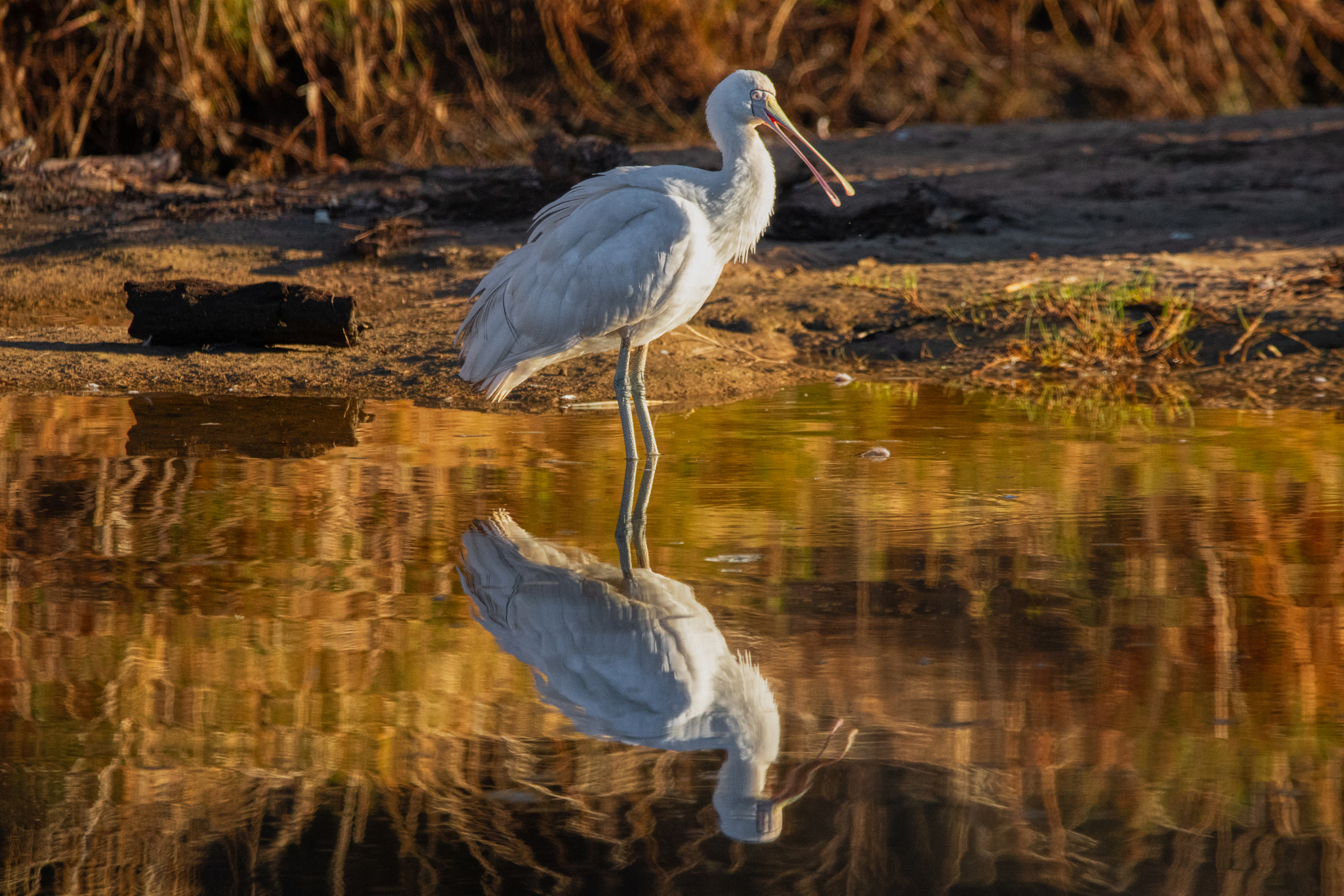 20240523-York-0358-Edit by Paul Amyes on 500px.com